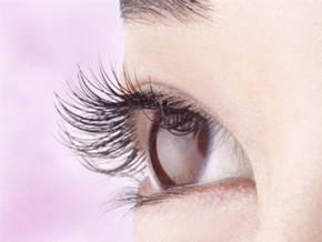 ��܂��G�N�X�e�̂݁A���ڂ�120�{�A�Ж�60�{�̎{�p��