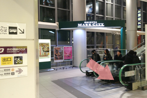 �G�X�J���[�^�[�łPF�ɍ~��Ă�������